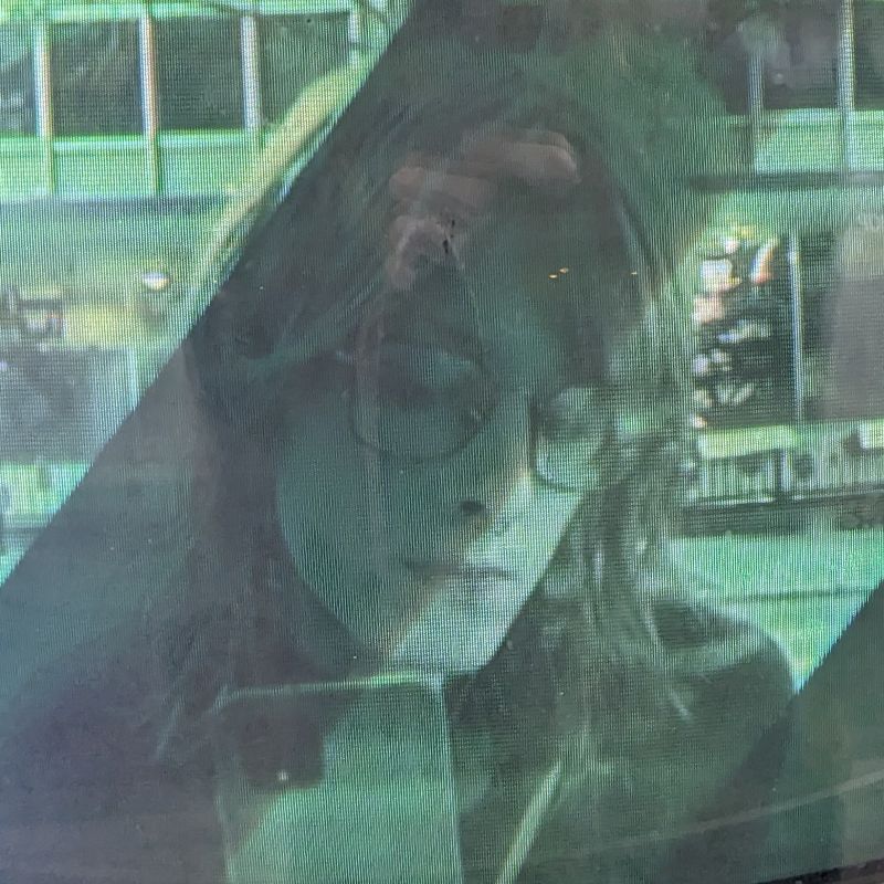 Alice is taking a photo of herself displayed through a CRT TV by a live digital camera. She has shoulder-length red hair, light skin, and is dressed in blue with a long coat and scarf. The TV displays her and the street behind her with a blue-green overtone.